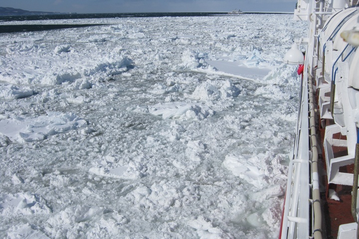 砕氷船「おーろら」／流氷群に到達