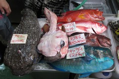 牧志公設市場・湧川鮮魚／店頭に並ぶ色とりどりの魚たち