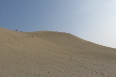 鳥取砂丘／海側から見上げる「馬の背」