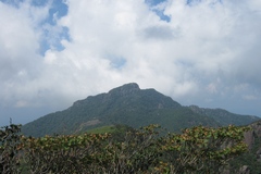 祖母山／「烏帽子岩」から眺める祖母山の山頂