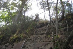 祖母山／親父山〜黒岳間・二つめの巨岩に垂れるロープ