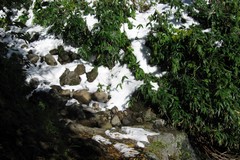 岩木山／積もった雪が私を震え上がらせる「大沢」のガレ道