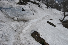 大雪渓から白馬岳へ／雪に覆われた猿倉の林道（１）