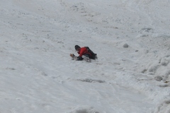 大雪渓から白馬岳へ／大雪渓を尻で滑り降りるハイカー・トミー