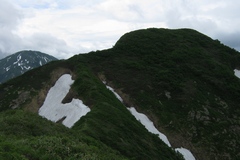 八海山／大日岳から入道岳へと至る稜線