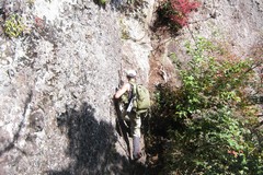 武尊山ハイキング／カニの横這い（１）