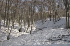 火打山で「尻滑り」／黒沢橋までは退屈な雪道歩き