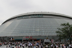東京ドーム：巨人−阪神戦（１）