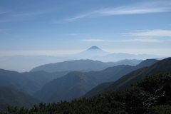 秋の白峰三山縦走／間ノ岳へと続く稜線から富士を望む