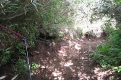 戸隠山ハイキング／山頂直下・ロープが備え付けられた下り道