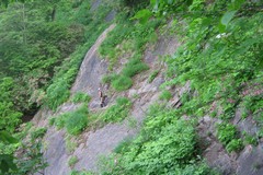 戸隠山ハイキング／大洞沢沿いに下山・帯岩の鎖場
